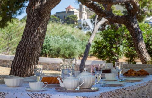 DellaGracia Mansion in Poseidonia Syros - Photo 44