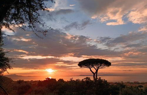 La Pigna Sorrento - Foto 21