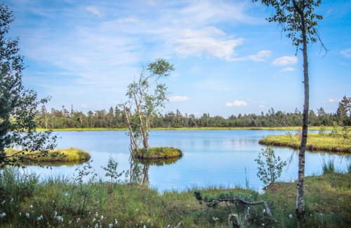 Ferienwohnung am Enzufer mit Wintergarten Bad Wildbad im Schwarzwald - Foto 38
