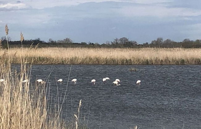 Apartment in Neureichenau - Foto 12