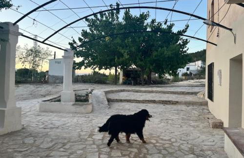 Masia Bernat - Foto 13