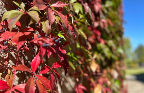 Falkenwohnung - Foto 25