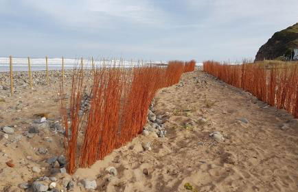 casaplayadevega - Foto 16