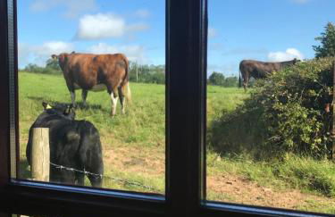 Minnie’s Cottage - Foto 30