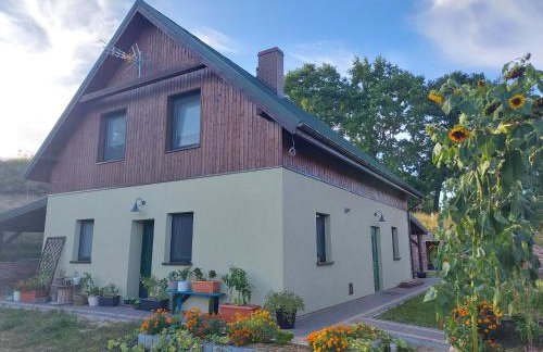 Apartament Blisko Lasu - Foto 1