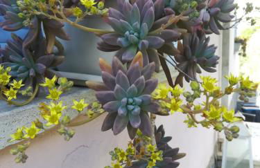 Tramonti E Valli - Foto 26