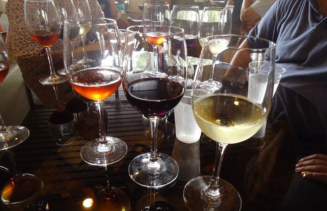 Arrabida and Bacalhoa Wine Tasting Private Tour from Lisbon - Photo 6