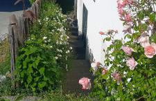 Ferienwohnung Rebgärtle - Foto 22