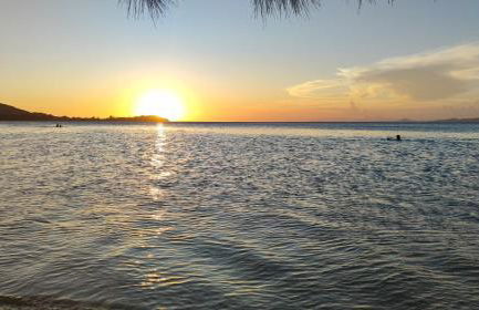 Casa aconchegante próximo à Praia do Sudoeste - Photo 20