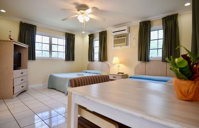 Nathan's Lodge - Photo 4