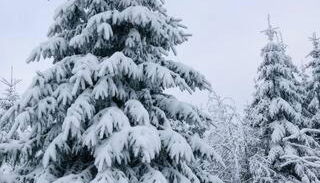 Ferienwohnung Winterberg - Foto 2