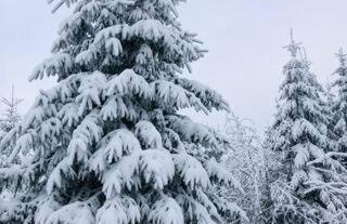 Ferienwohnung Winterberg - Foto 2