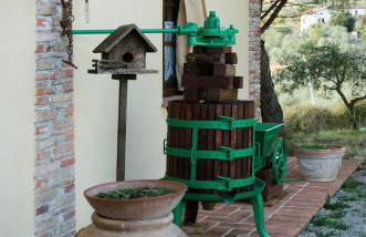 Locazione turistica ex Le Casette Di Cedromonte - Foto 16