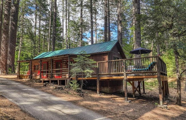 Yuba River Inn - Foto 9