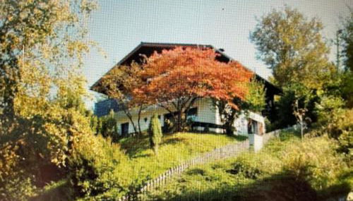 Urlaubsstube1982 - wildromantisch mit Kamin und rustikalem Charme - Foto 3