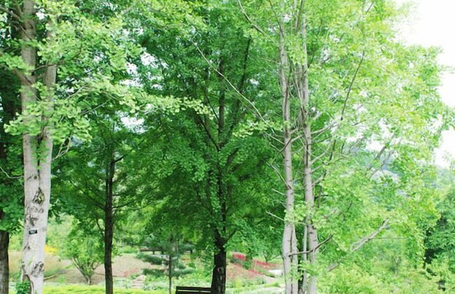 Haeyeorim Village - Foto 51