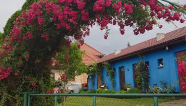 Agroturystyka Jagoda - Photo 1, Garden, Garden view