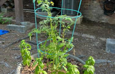 Just Peachy 2BR 2BA Private Luxury Apartment - Foto 71