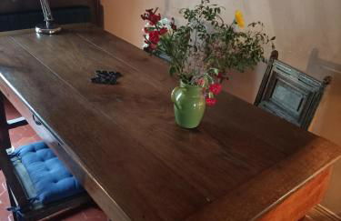 A deux pas d'Avignon - Foto 33