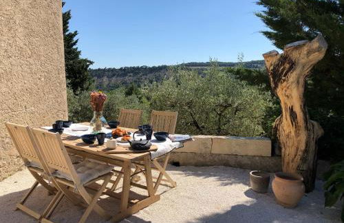 Mas provençal La Serallère au coeur des oliviers - Foto 1