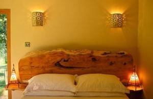 Little Hollows Glamping - Foto 21