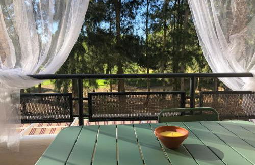 Cigüeñas - Foto 15