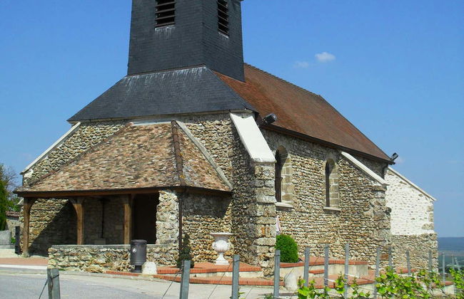 Mutigny Vineyards Tour - Photo 3