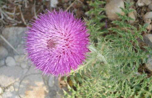 Holiday house Tunjarice - Foto 20