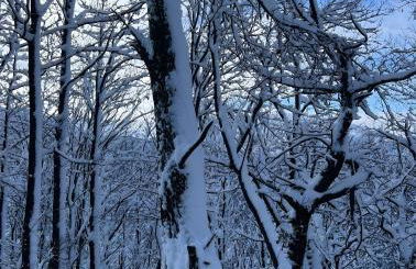 La casa di Noah - Photo 43