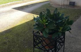 Gîte Val de Saône et Beaujolais, Clos Beaudet - Foto 30