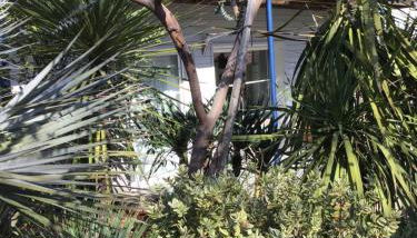 Agréable appartement à 1km du centre de La Teste-de-Buch - Foto 5