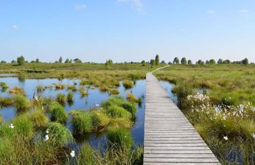 Cherry trees in blossom - Foto 35