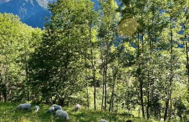 Chalet Altus - Photo 31