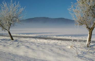 Ferienwohnung "Vier Pfoten" in Korbach - Foto 19