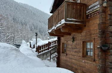 Chalet Champagne - Foto 1