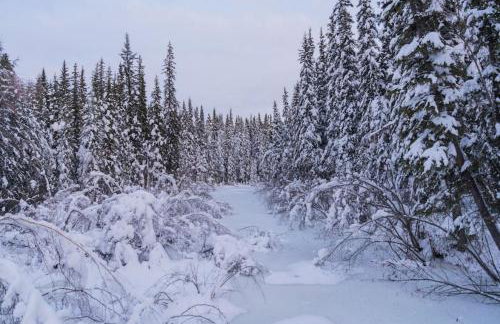 Central Driftwood 2.0 - Foto 49