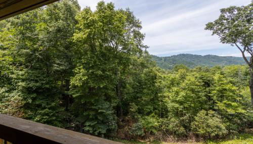 Mountain Melody - Foto 2, Other