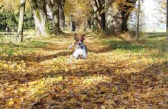 Haus am Kienberg - Foto 52