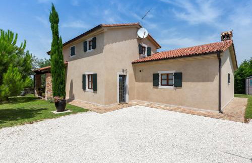 Dreamhill Meloni - Foto 8