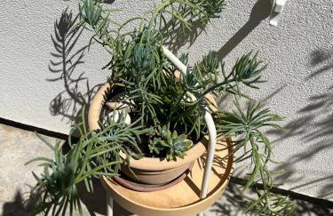 House Erin Tara Sigrid, Hvar - Photo 20