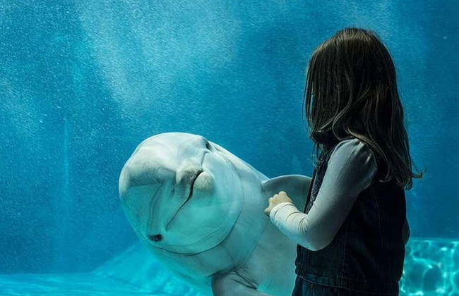 Oltremare Ticket - Photo 8