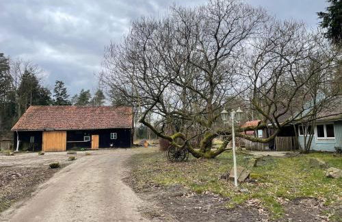 The Cottages - Pet Friendly - Photo 28