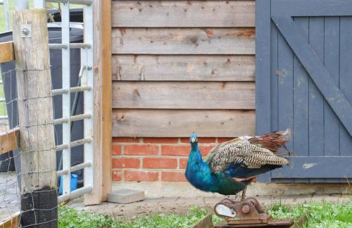 Bee Cottage - Foto 25