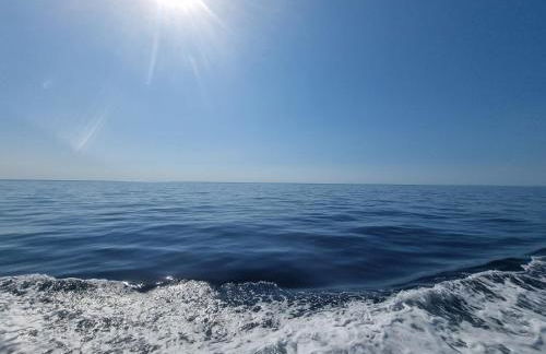 L'escale du capitaine - Foto 27