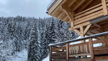 Chalet Soleya - Photo 4