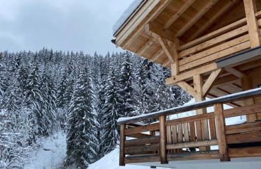 Chalet Soleya - Photo 4