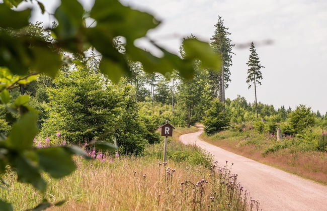 Ferienhaus Lichtung - Photo 70