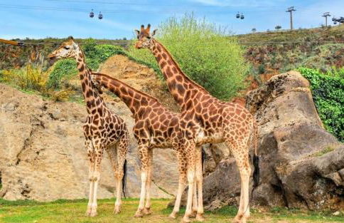 MariaS Vacation Rental - Foto 24