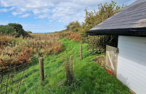 Clovelly Green Cottage - Foto 12