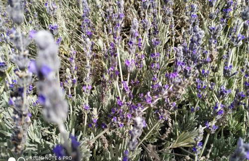 Loma Negra - Photo 42